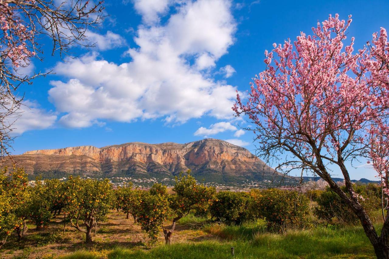 Ca La Marti Villa Pedreguer Buitenkant foto